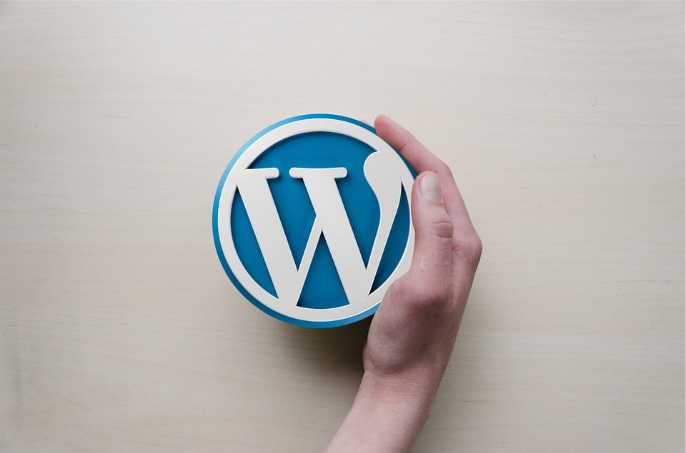 Gdzie szukać godnych zaufania specjalisty od WordPress?